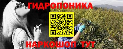 шишки Коммунар