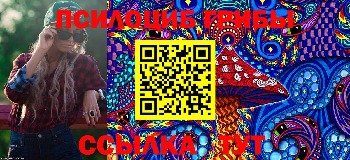 Чапаевск  Галлюциногенные грибы Cubensis  Вход с VPN 